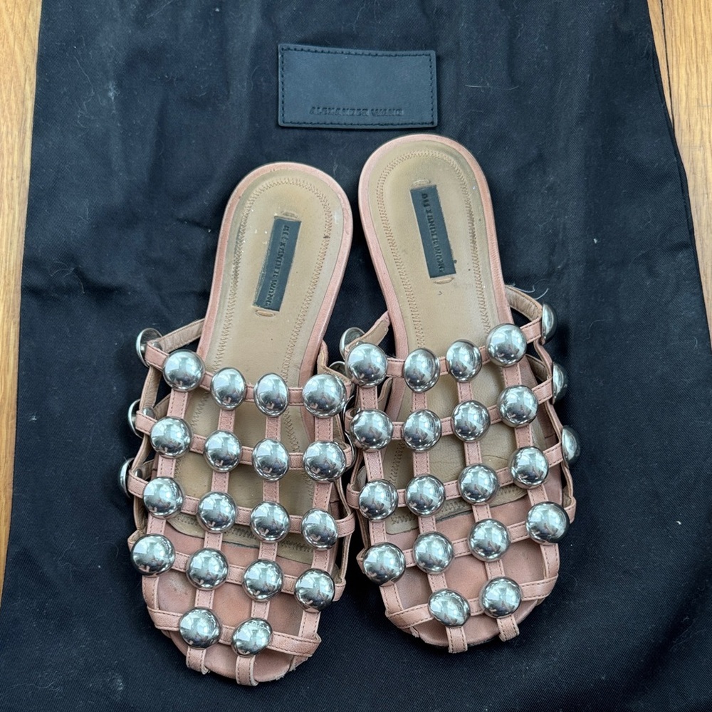 Alexander Wang Silver and Tan Embellished Sandals